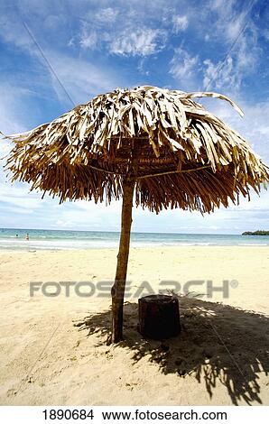 Picture - Palm Leaf Umbrella On Red Frog Beach. Fotosearch