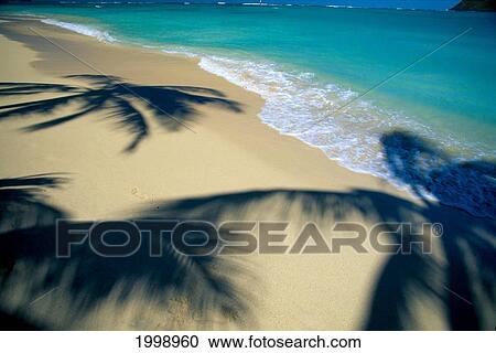 Stock Image - Palm Shadows On White Sand Beach, Turquoise Ocean B1449. Fotosearch