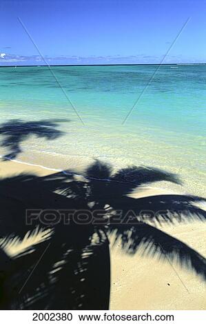 Palm Shadows On White Sand Beach, Turquoise Water View Large Photo Image Stock Image - Palm Shadows On White Sand Beach, Turquoise Water. Fotosearch