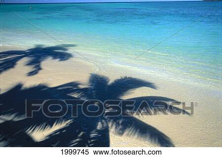 Palm Shadows On White Sand Beach, Turquoise Water C1695 View Large Photo Image Stock Photography - Palm Shadows On White Sand Beach, Turquoise Water C1695. Fotosearch