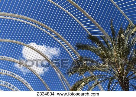 Picture - Palm Tree And Cloud In Umbracle In Ciudad De Las Artes Y Las Ciencias (City Of Arts And Sciences); Valencia, Spain.. Fotosearch