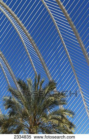 Palm Tree And Cloud In Umbracle In Ciudad De Las Artes Y Las Ciencias (City Of Arts And Sciences); Valencia, Spain. View Large Photo Image Stock Photography - Palm Tree And Cloud In Umbracle In Ciudad De Las Artes Y Las Ciencias (City Of Arts And Sciences); Valencia, Spain.. Fotosearch