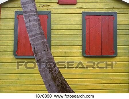 Stock Image - Palm Tree And House, Close Up. Fotosearch