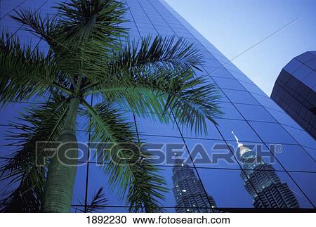 Stock Image - Palm Tree And Reflection Of Petronas Towers In Facade. Fotosearch