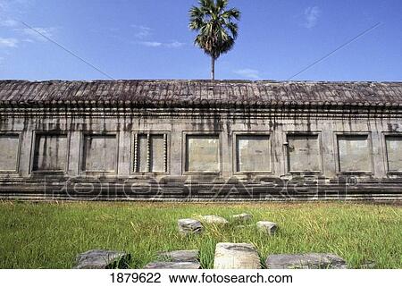 Stock Image - Palm Tree And Wall At Angkor Wat. Fotosearch