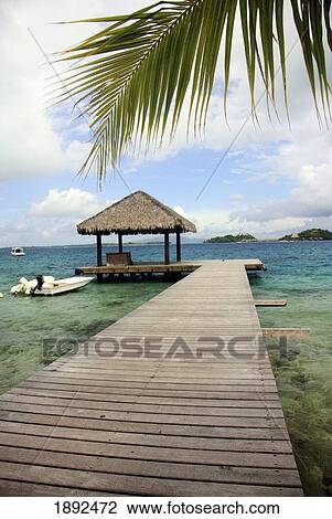 Stock Image - Palm Tree Fronds Over Jetty At Hotel Bora Bora. Fotosearch