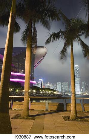 Palm Tree In Front Of National Convention Center, Tall Buildings And Skyline View Large Photo Image Stock Photo - Palm Tree In Front Of National Convention Center, Tall Buildings And Skyline. Fotosearch