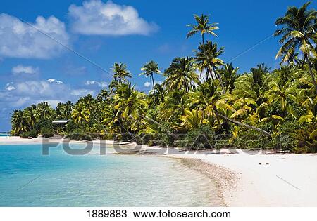 Stock Image - Palm Tree Lined Beach On Tapuae Tai Island. Fotosearch