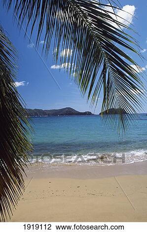 Stock Image - Palm Tree On Beach & Little Tobago. Fotosearch
