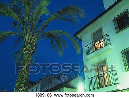 Stock Photograph - Palm Tree Outside Apartment At Dusk, Low Angle View. Fotosearch