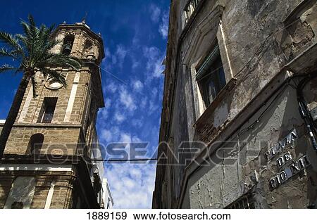 Palm Tree Outside Church, Low Angle View View Large Photo Image Stock Photo - Palm Tree Outside Church, Low Angle View. Fotosearch