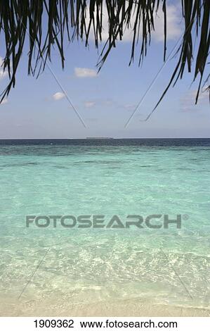Palm Tree Over Ocean, Dhuni Kolhu Island, Maldives View Large Photo Image Stock Image - Palm Tree Over Ocean, Dhuni Kolhu Island, Maldives. Fotosearch