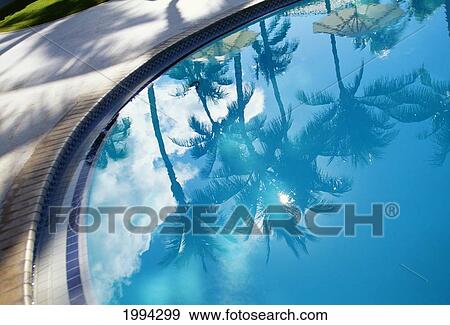 Palm Tree Reflections On Pool Water Surface View Large Photo Image Stock Photo - Palm Tree Reflections On Pool Water Surface. Fotosearch