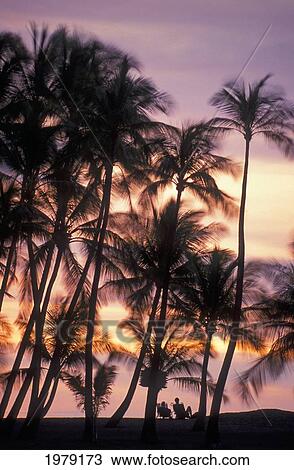 Stock Image - Palm trees and a couple in beach chairs at sunset at Anaehoomalu Bay, Waikoloa resort; Kohala, Island of Hawaii, Hawaii, United States of America. Fotosearch