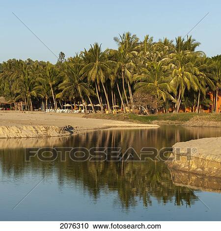 Stock Image - Palm Trees And A Resort Along The Water's Edge; Sayulita Mexico. Fotosearch