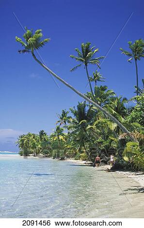 Stock Photograph - Palm Trees And Beach Aitutaki Lagoon, Cook Islands.. Fotosearch
