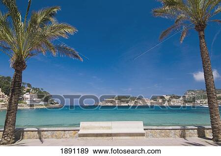 Stock Photo - Palm Trees And Bench In Front Of Beach Of Puerto De Soller. Fotosearch