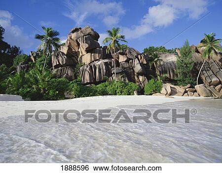 Palm Trees And Boulders On Tropical Beach, Anse Source D'argent View Large Photo Image Stock Photograph - Palm Trees And Boulders On Tropical Beach, Anse Source D'argent. Fotosearch