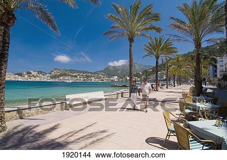 Picture - Palm Trees And Cafes Beside Beach Of Puerto De Soller, Majorca, Spain. Fotosearch