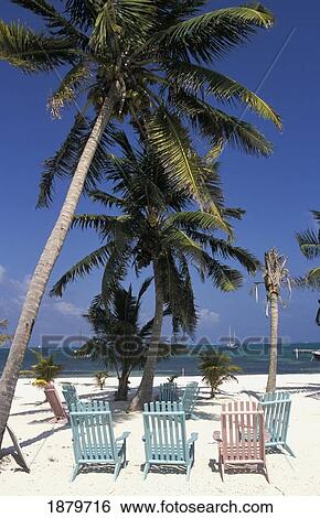 Palm Trees And Empty Deckchairs On The Beach View Large Photo Image Stock Photograph - Palm Trees And Empty Deckchairs On The Beach. Fotosearch