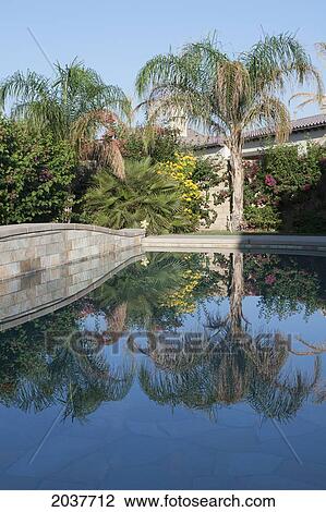 Stock Image - Palm Trees And Flowering Shrubs Reflecting Off A Pool; Palm Springs California United States Of America. Fotosearch