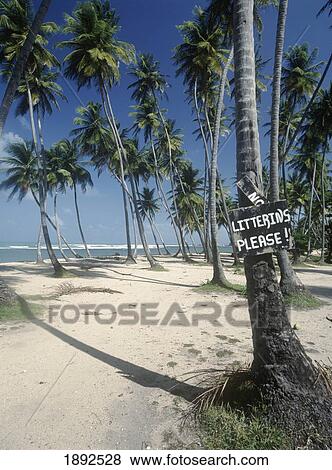 Stock Photo - Palm Trees And 'litterins Please! ' Sign On Galera Point Beach. Fotosearch