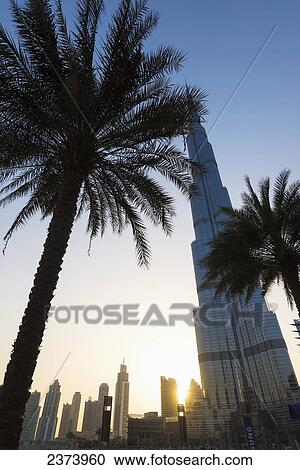 Stock Image - Palm trees and the Burj Khalifa at sunset; Dubai, United Arab Emirates. Fotosearch