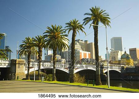 Palm Trees And The Melbourne Skyline; Melbourne, Australia View Large Photo Image Stock Photography - Palm Trees And The Melbourne Skyline; Melbourne, Australia. Fotosearch