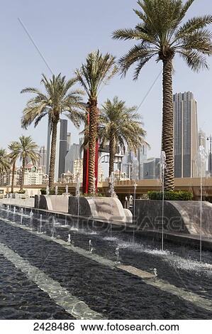 Stock Photograph - Palm trees by a water fountain with skyscrapers and blue sky in the background; Dubai, United Arab Emirates. Fotosearch