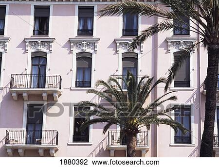 Palm Trees In Front Of Hotel On Promenade Des Anglais View Large Photo Image Stock Image - Palm Trees In Front Of Hotel On Promenade Des Anglais. Fotosearch
