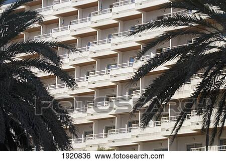 Palm Trees In Front Of Hotel, Torremolinos, Andalucia, Spain View Large Photo Image Stock Photograph - Palm Trees In Front Of Hotel, Torremolinos, Andalucia, Spain. Fotosearch