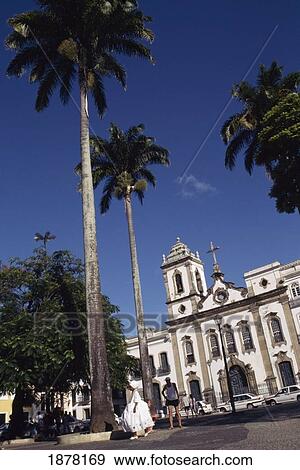 Stock Photo - Palm Trees In Sao Padre. Fotosearch