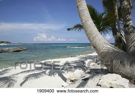 Stock Image - Palm Trees On Beach At Mayan Riviera, Yucatan Peninsular, Quintana Roo State, Mexico. Fotosearch