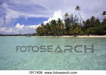 Stock Photograph - Palm Trees On Beach With Tropical Sea. Fotosearch