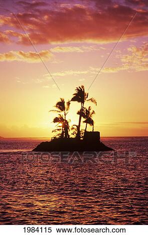 Stock Photography - Palm Trees On Small Island Silhouetted Against Tropical Sunrise.. Fotosearch