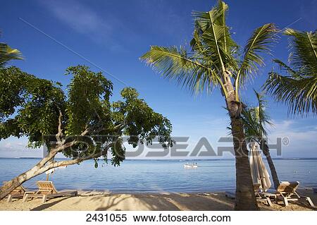 Stock Photography - Palm trees on the white sand shore with a boat in the Indian Ocean; Mauritius. Fotosearch