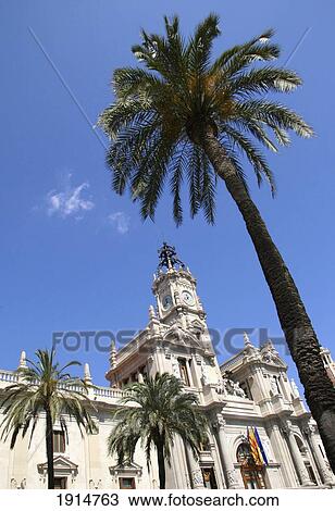 Palm Trees Outside Valencia City Hall View Large Photo Image Stock Image - Palm Trees Outside Valencia City Hall. Fotosearch