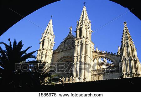 Palma Cathedral And Palm Tree View Large Photo Image Stock Photo - Palma Cathedral And Palm Tree. Fotosearch
