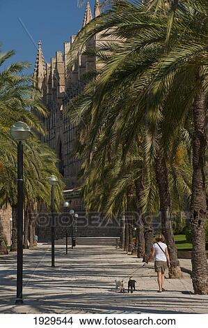 Palma, Majorca, Spain View Large Photo Image Picture - Palma, Majorca, Spain. Fotosearch