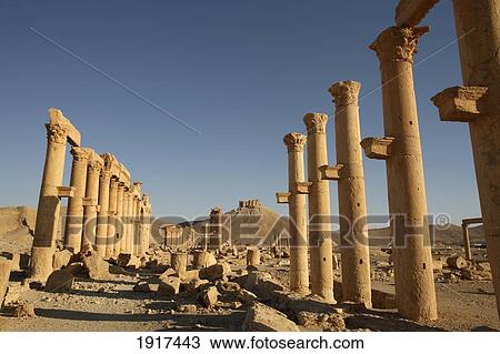 Palmyra Ruins View Large Photo Image Stock Image - Palmyra Ruins. Fotosearch