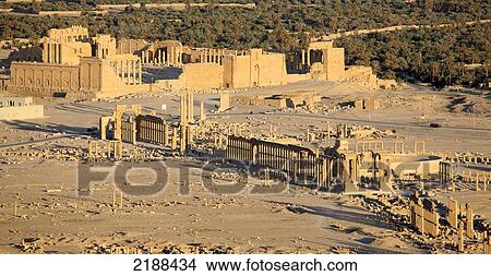 Picture - PALMYRA RUINS SYRIA. Fotosearch