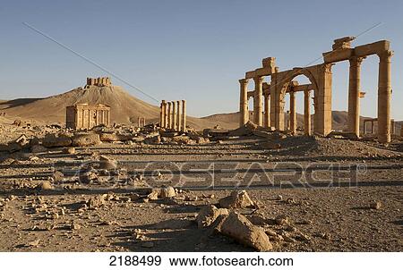 Stock Photo - PALMYRA RUINS SYRIA. Fotosearch