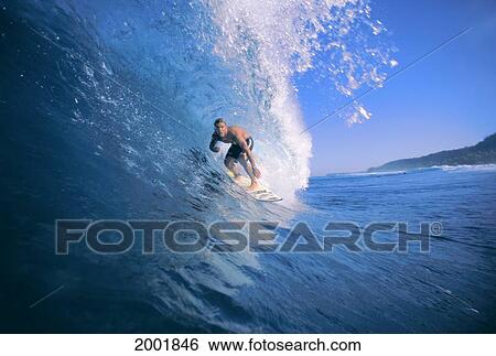 Pancho In Curling Wave, Looking At Camera, Close-Up View Large Photo Image Stock Photograph - Pancho In Curling Wave, Looking At Camera, Close-Up. Fotosearch