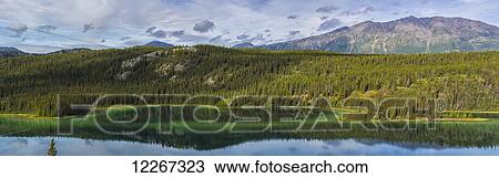 Panoramic view of Emerald Lake in the Southern lakes region; Yukon, Canada View Large Photo Image Stock Image - Panoramic view of Emerald Lake in the Southern lakes region; Yukon, Canada. Fotosearch