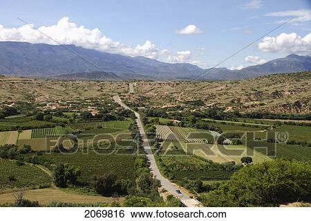 Panoramic View Of Vineyards In The Valle De La Concepci View Large Photo Image Stock Photograph - Panoramic View Of Vineyards In The Valle De La Concepci. Fotosearch