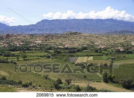 Panoramic View Of Vineyards In The Valle De La Concepci View Large Photo Image Stock Photography - Panoramic View Of Vineyards In The Valle De La Concepci. Fotosearch