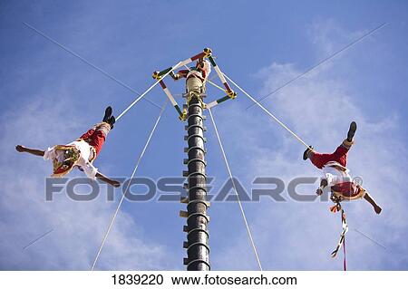 Stock Image - Papantla Fliers From Veracruz Performing Folkloric Show; Golden Zone, Mazatlan, Sinaloa, Mexico. Fotosearch