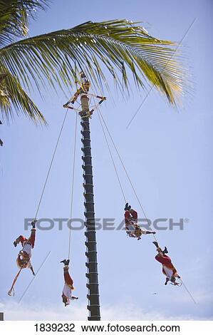 Papantla Fliers From Veracruz Performing Folkloric Show; Golden Zone, Mazatlan, Sinaloa, Mexico View Large Photo Image Stock Image - Papantla Fliers From Veracruz Performing Folkloric Show; Golden Zone, Mazatlan, Sinaloa, Mexico. Fotosearch