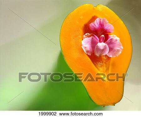 Papaya Cut In Half, Orchid In Tropical Fruit, Studio Shot C1177 View Large Photo Image Stock Image - Papaya Cut In Half, Orchid In Tropical Fruit, Studio Shot C1177. Fotosearch