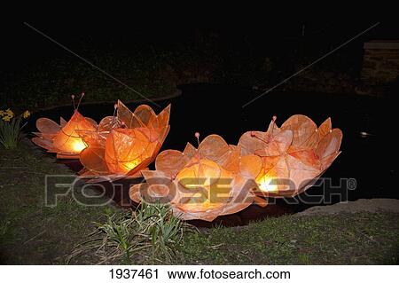 Paper Lanterns Illuminated; Sunderland Tyne And Wear England View Large Photo Image Stock Image - Paper Lanterns Illuminated; Sunderland Tyne And Wear England. Fotosearch